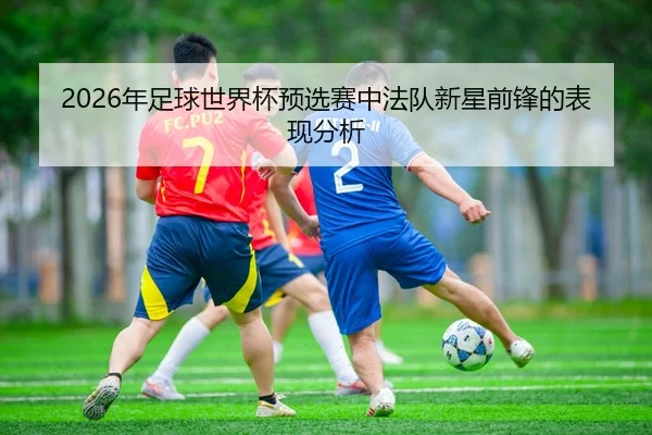 2026年足球世界杯预选赛中法队新星前锋的表现分析